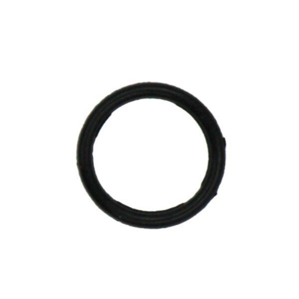 (100 Pack) Rear Camera Lens Waterproof Rubber Ring For iPhone 11